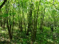 W&nbsp;Zawoju 23 maja 2010&nbsp;r.