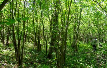 W Zawoju 23 maja 2010 r.