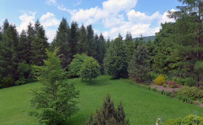 Łuka-Apartament-nr-6_widok-z-okna