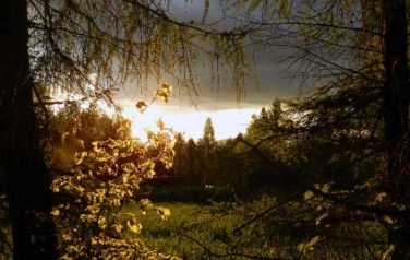 Wiosennie przed domem