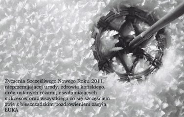 Życzenia noworoczne